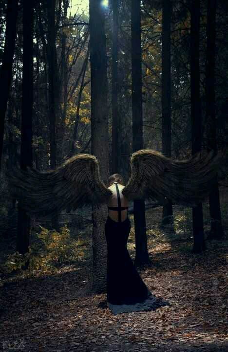 Angel Fallen